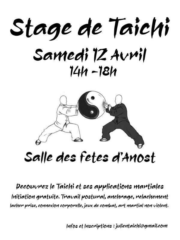 stage de tai chi
